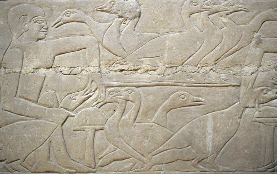 A stone carving of birds

Description automatically generated