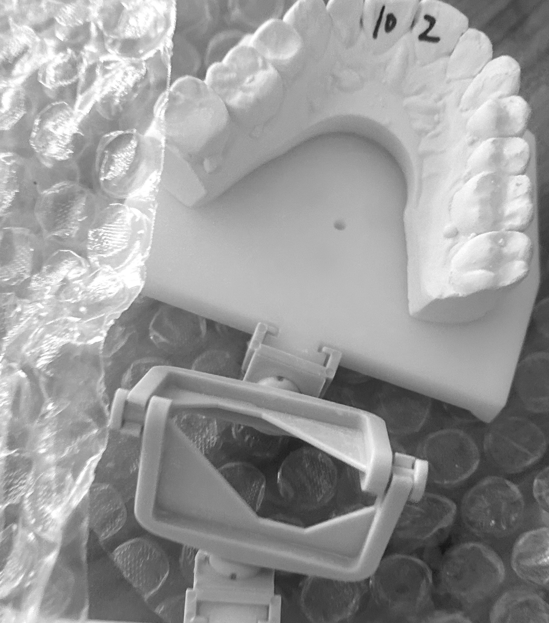 A plastic model of a jaw

Description automatically generated