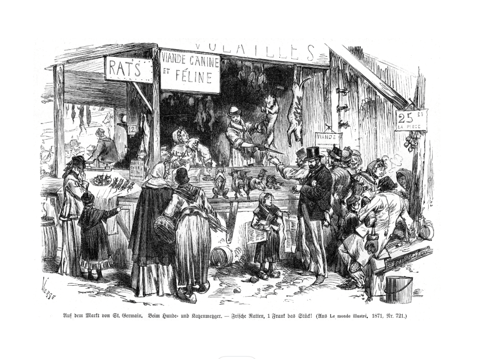 A group of people in a market

Description automatically generated