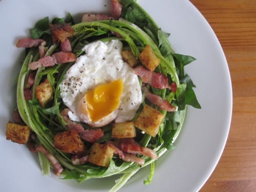 French Recipe: Rustic Salade Lyonnaise with dandelion greens and wild onions