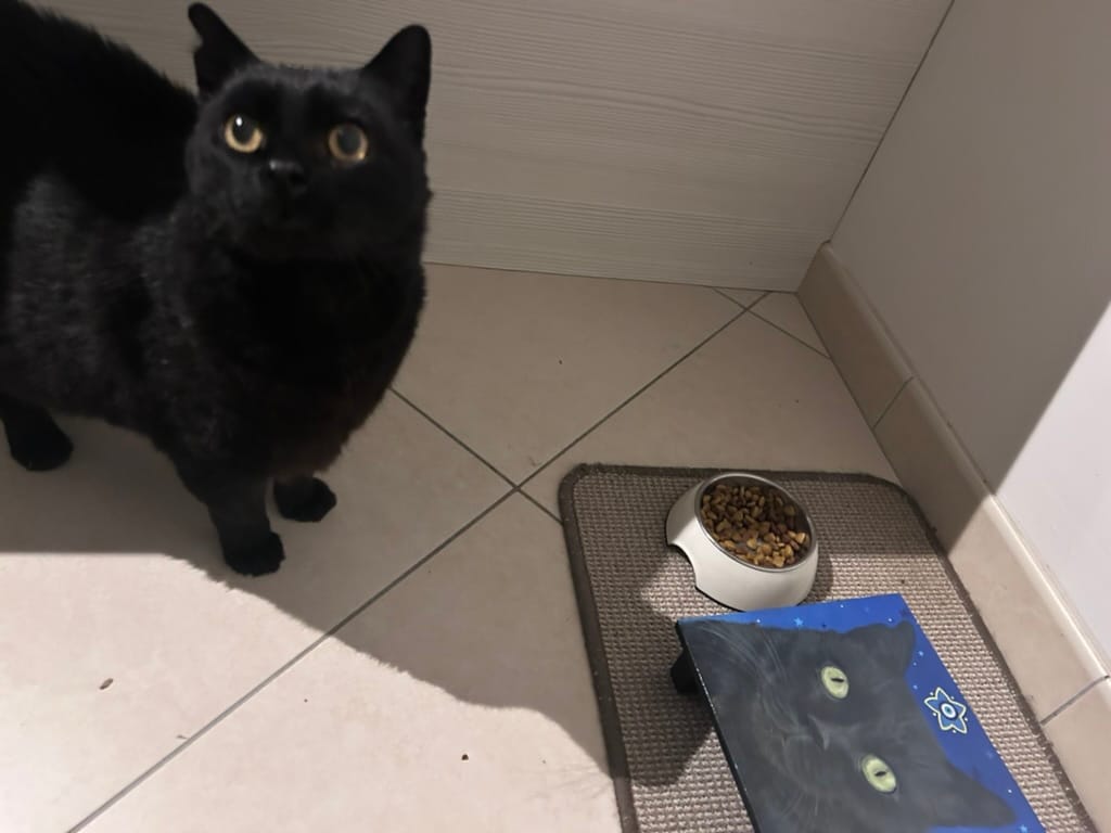 House Sitting is a whole other way to see France