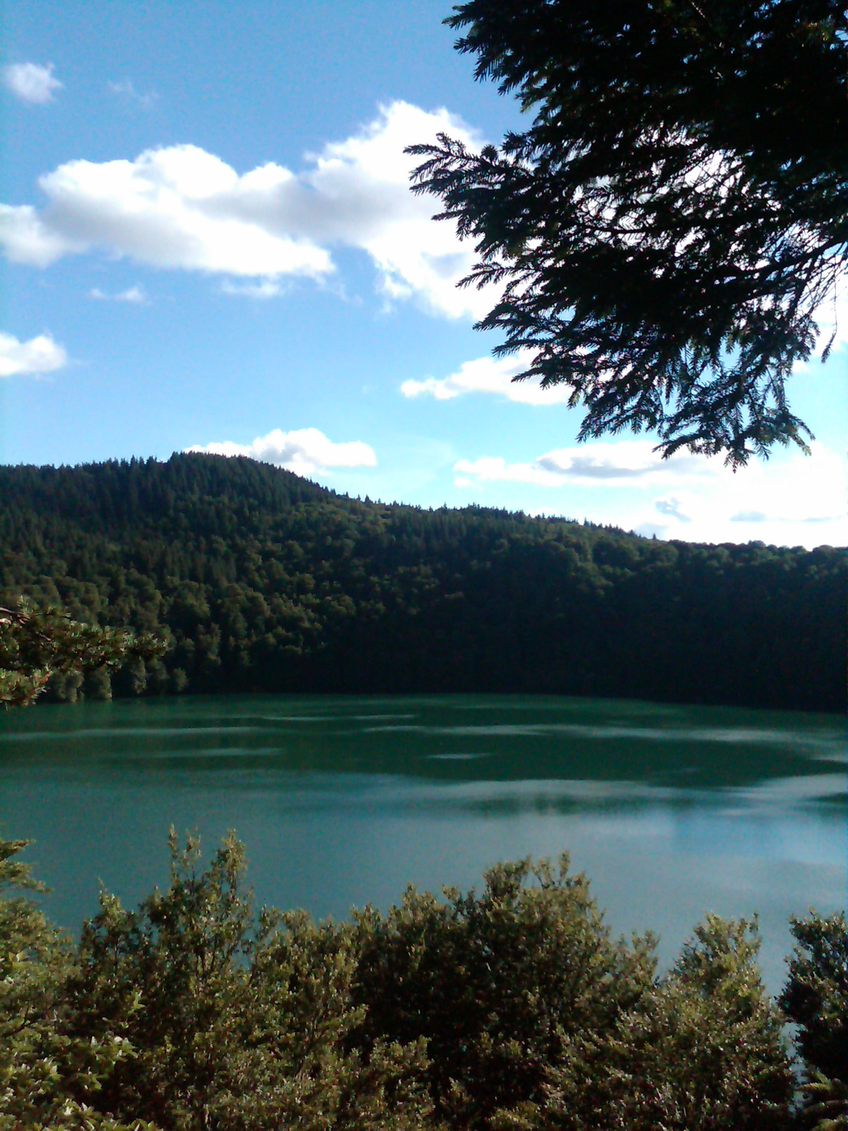 Why Moving to France Changed Our Lives: Lessons from the Countryside