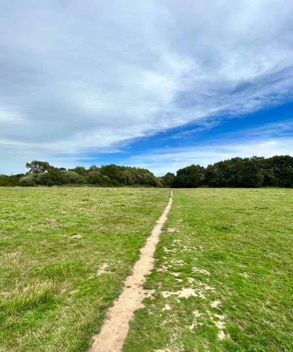 Baguettes, Bonjours and Bothers: Unexpected Joys of Living in France
