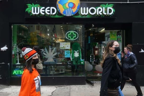 Marijuana Legalization: A Tale of Two Cities – New York vs. France