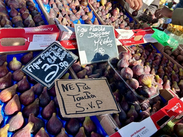 The Invasive Edges Where Familiar Things Grow